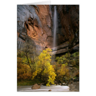 Parque Nacional Zion, Utah. EE. UU. Efímero