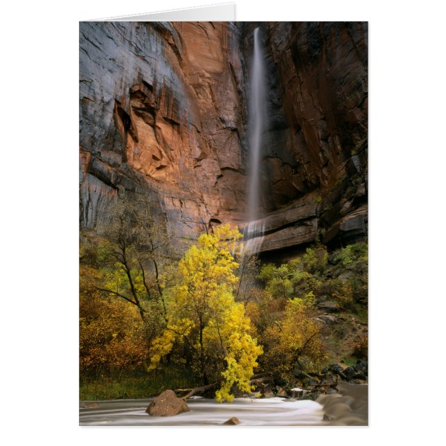 Parque Nacional Zion, Utah. EE. UU. Efímero (Frente)