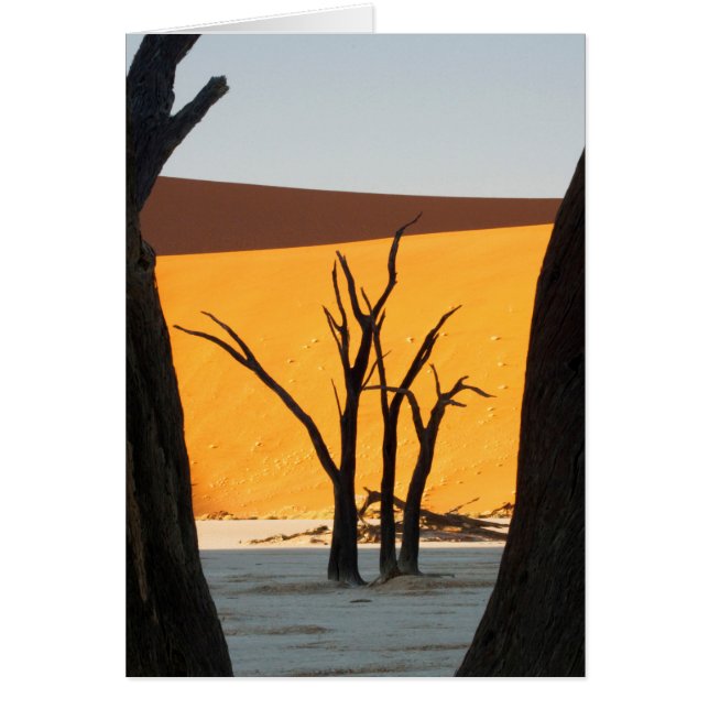 Parque Namib-Naukluft, Sossusvlei | Dead Vlei (Frente)
