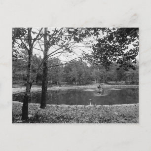 Parque Nay Aug Scranton Pa. Postal