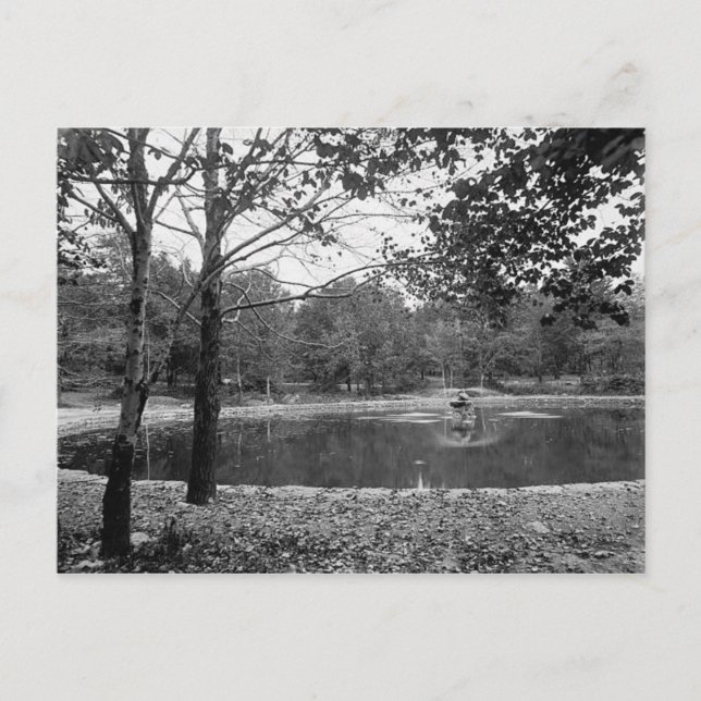 Parque Nay Aug Scranton Pa. Postal (Anverso)