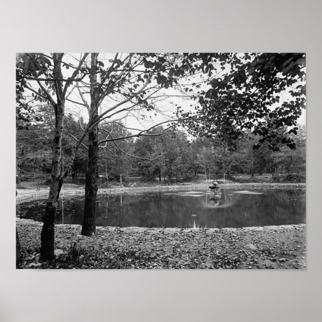 Parque Nay Aug Scranton Pa. Póster (Frente)
