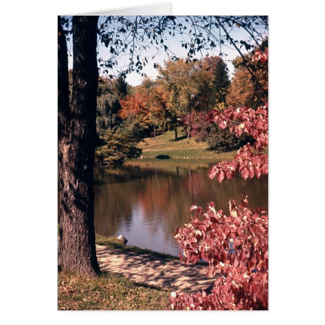 Parque plateado en otoño (Frente)