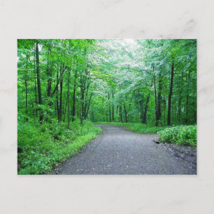 Parque Timms Hill, postal de la naturaleza de Wisc