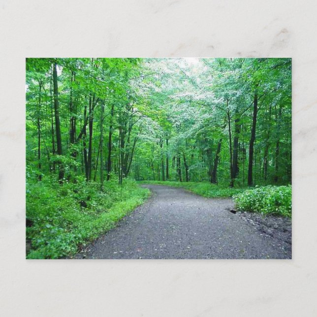 Parque Timms Hill, postal de la naturaleza de Wisc (Anverso)