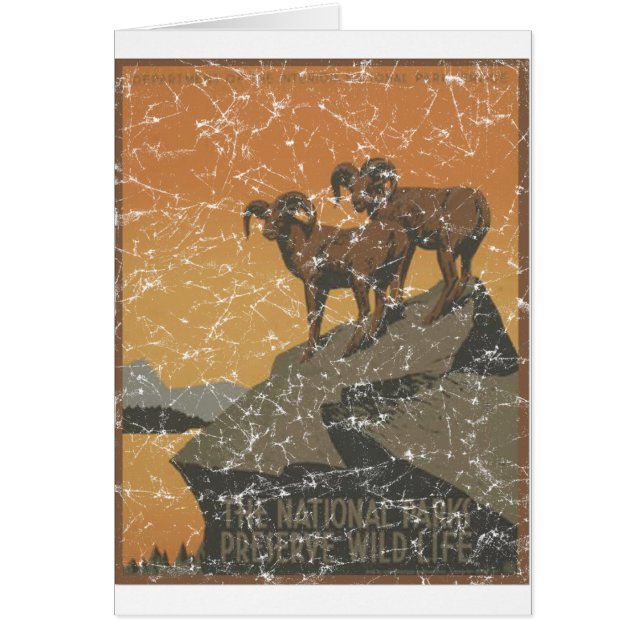 Parques nacionales - Cabras del monte - afligidos (Frente)