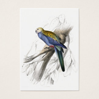 Parrakeet con cabeza de página por Edward Lear