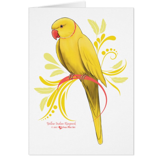 Parroquia de Ringneck Indio (Frente)