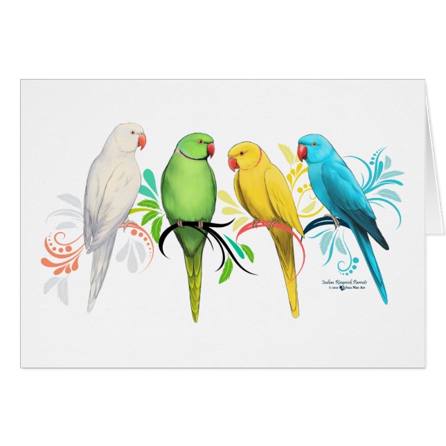 Parroquias del Ringneck Indio (Anverso (Horizontal))