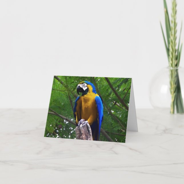 Parrot Pose ~ Tarjeta / Invitaciones (Anverso)