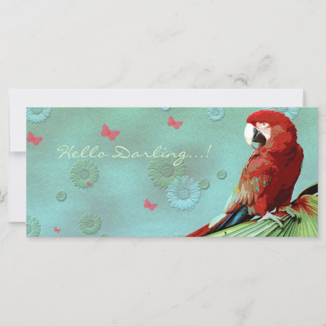 PARROT ~ Tarjeta de felicitación / postal (Anverso)