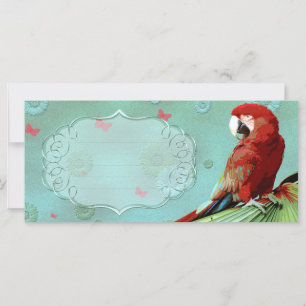 PARROT ~ Tarjeta de felicitación / postal