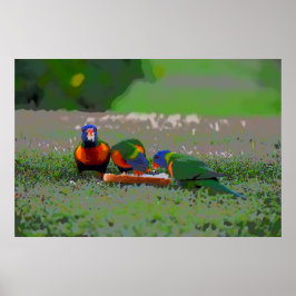 PARROTAS COMIENDO PAN EN POSTER DE ARTE RURAL DE A