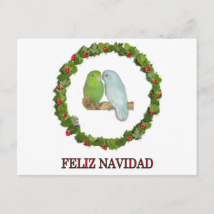 Parrotelt Feliz Navidad