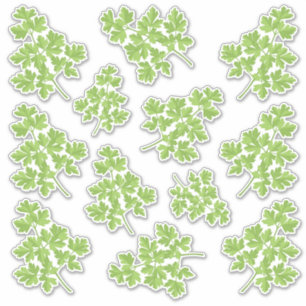 Parsley Pegatina Set
