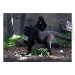 parte posterior del gorila