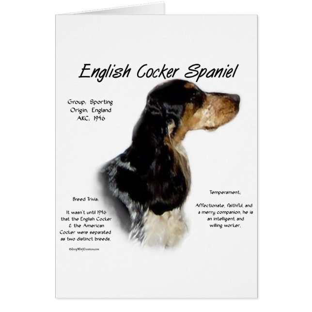 Parti Roan English Cocker Spaniel History (Frente)