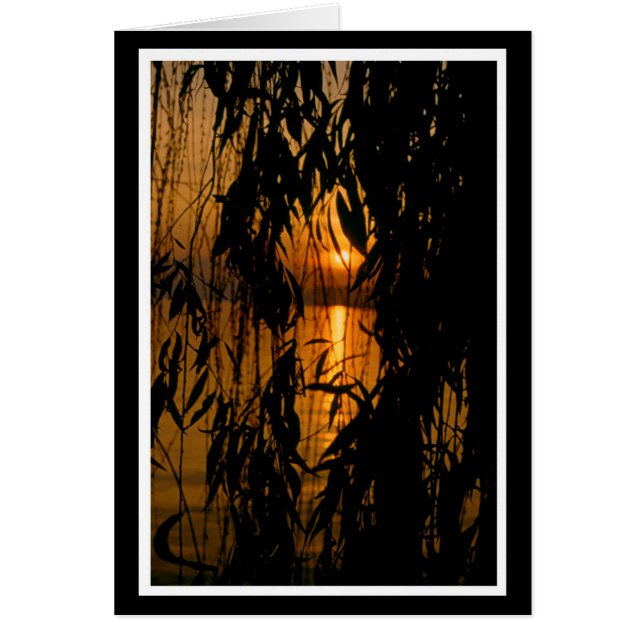 Participación cordial 2 tarjeta (Frente)