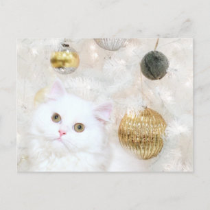 Partido del gato del árbol de navidad y del gatito