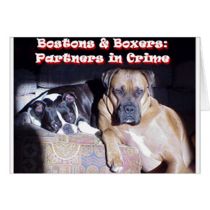 Partners - adentro - crimen