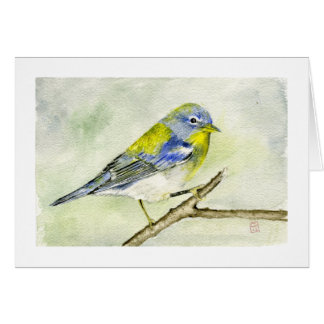 Parula septentrional