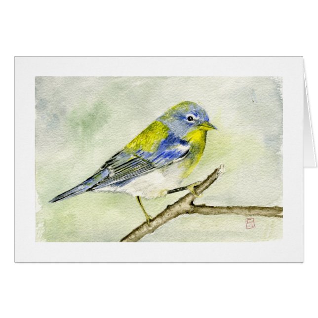 Parula septentrional (Anverso (Horizontal))