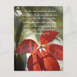 Pasaje de la biblia, postal de la hoja de otoño ro