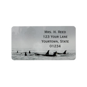 Pasando ballenas la etiqueta del remite