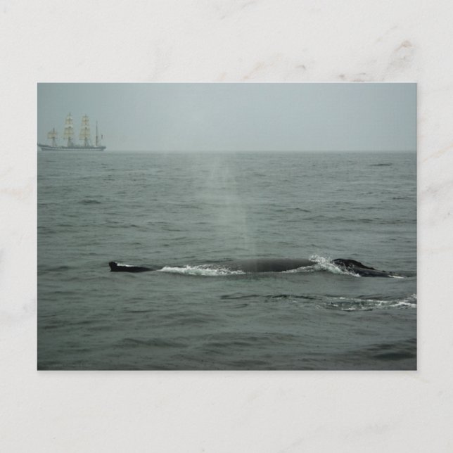 Pasando por postal (Anverso)