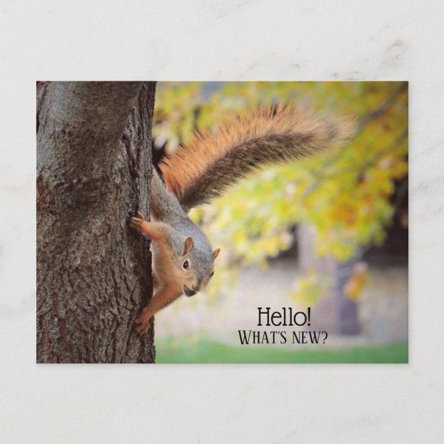 Pasar a la tarjeta postal de saludo (Anverso)