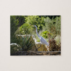 Pasar por el rompecabezas (Gran Egret)