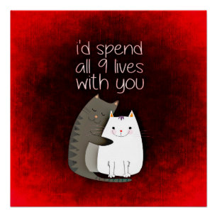 Pasaría las 9 vidas contigo, Poster de gato