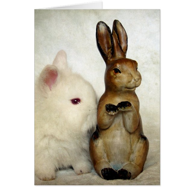 Pascua de Bunnies (Frente)