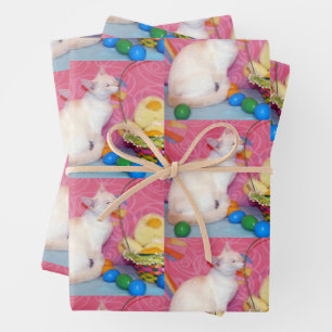 Pascua de Tiffany - Papel para envolver gatos - 3 