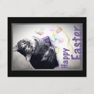 Pascua feliz - gatito - postal
