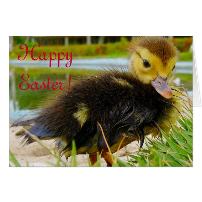 Pascua IV (Anverso (Horizontal))