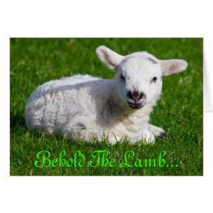 Pascua, mire el Cordero III