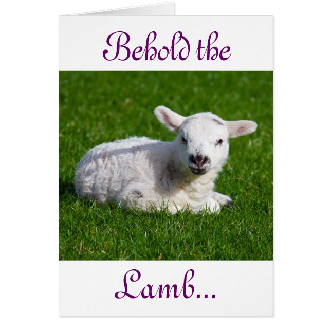 Pascua mire la tarjeta de vacaciones de cordero (Frente)