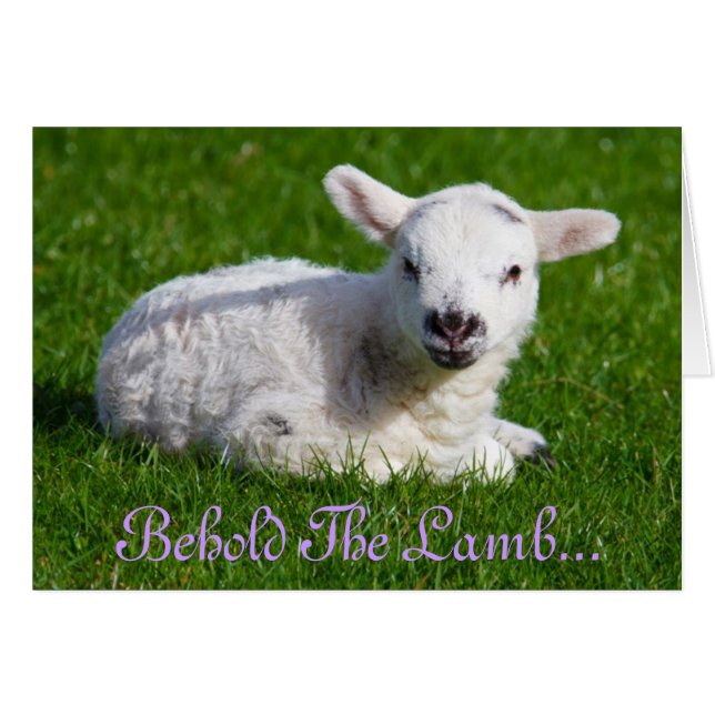 Pascua mire la tarjeta de vacaciones de cordero (Anverso (Horizontal))