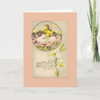 Pascua - Pollo y huevos arriba un árbol - postal a