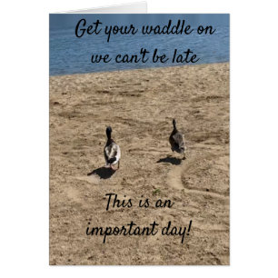 ***PASE LA PAREJA EN *** PATO DICIENDO "FELIZ CUMP