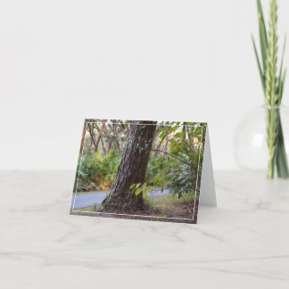 Pasear por el lago Lettuce