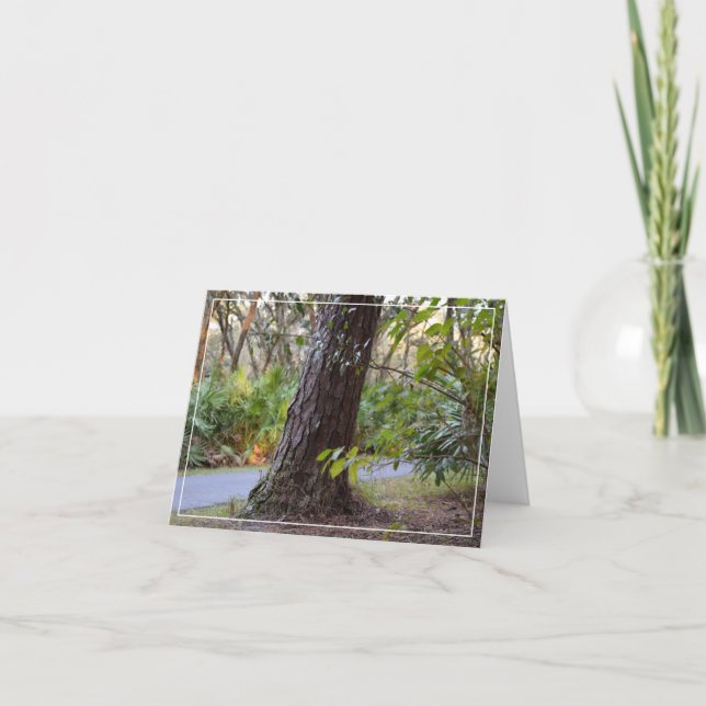 Pasear por el lago Lettuce (Anverso)