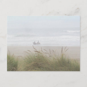 Paseo a caballo por la postal de la playa