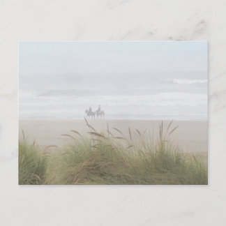 Paseo a caballo por la postal de la playa