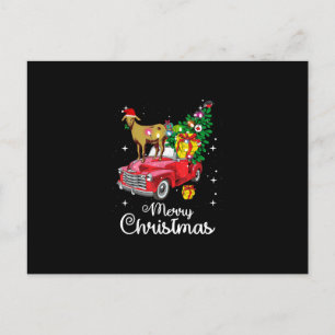 Paseo de Cabra Coche Rojo Navidad
