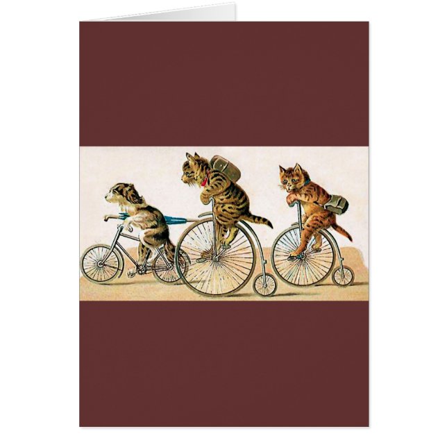 Paseo de la bicicleta (Frente)