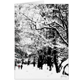 Paseo de la nieve: Romancing la nieve