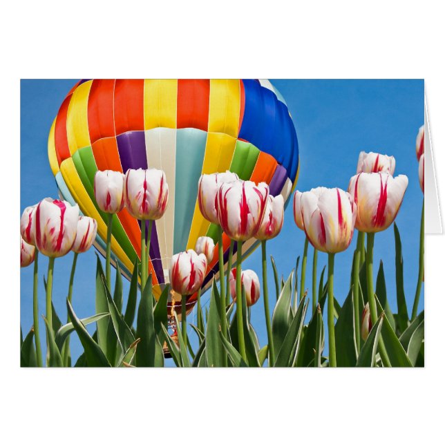 Paseo de primavera (Anverso (Horizontal))