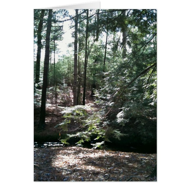 Paseo de primavera (Frente)